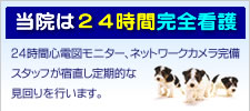 24時間看護